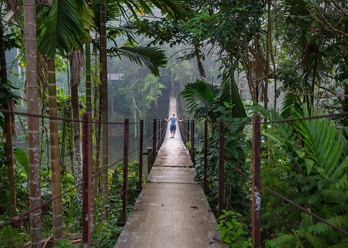 Traveler walking across rainforest suspension bridge in tropical jungle